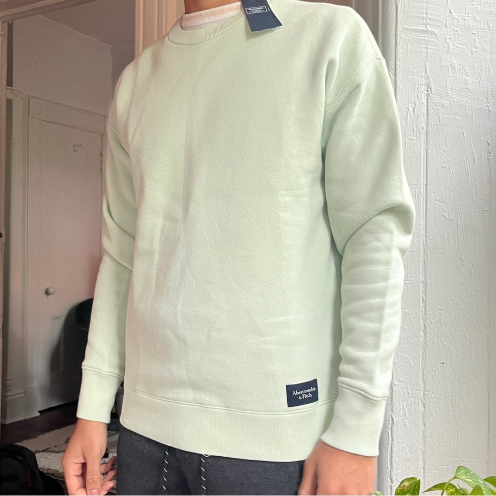 Mint Abercrombie and Fitch Sweatshirt (Relaxed, S) NEW WITH TAGS